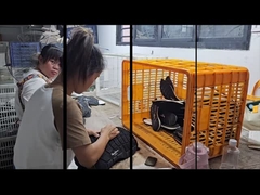 Fábrica de serviços de calçados personalizados